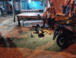 Terjadi Peristiwa Mematikan di Warung Tuak Desa Tiga Juhar, Satu Orang Meninggal Ditempat STM HULU