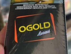 ❗❗ NGERI PARAH! DIDUGA BEA CUKAI MADURA & APARAT BEKINGI GUDANG-PABRIK ROKOK ILEGAL TAMBELANGAN SAMPANG,MERK OGOLD & L300 ❗❗