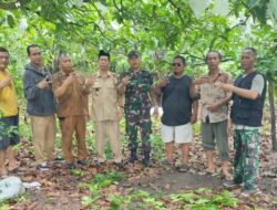 PEMDES GUNUNG RINTIH RESMI BANGUN GEDUNG KOPERASI DESA, TARGETKAN JADI MOTOR GERAK EKONOMI