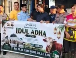 Wujud Kepedulian Sosial, Kapolda Sumsel Salurkan Dua Sapi Kurban Jumbo ke Masjid Agung As Salam dan Ponpes Modern Uswatun Hasanah Lubuk Linggau LUBUK LINGGAU