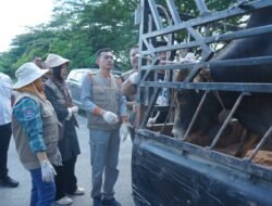 Pemerintah Kabupaten Asahan Gelar Pemeriksaan Kesehatan Hewan Qurban