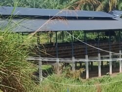 Diduga Beroperasi Tanpa Izin, Ternak Ayam PT AKH di Air Batu Dilaporkan ke Pemkab Asahan