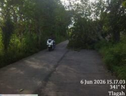 ❗❗ WASPADA! KAYU BESAR TUMBANG DI DESA TELAGAH – JALAN SEMPRIT, KABEL PLN BERSELENDANGAN, HAMPIR KECELAKAAN BERKALI-KALI! ❗❗