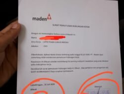 Lippo plaza Lubuklinggau menejer Lippo ketiduran 1 team pekerja 9 anggota Lippo di berentikan tampah sebab akibat pada hal masa kontrak tinggal 7 bulan kedepan