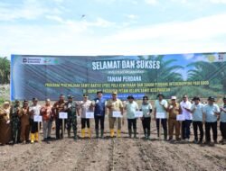 Bupati Asahan Lakukan Tanam Perdana PSR Kemitraan dan Intercropping Padi Gogo di Koperasi Kesepakatan